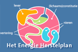 Energ_hersPlan_272x183