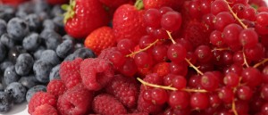 fruit - rood fruit - bosvruchten - frambozen - aardbei - blauwe bes - rode bes - Peer Voedingadvies - Judith Rolf