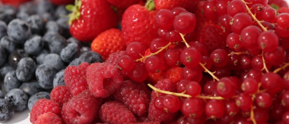fruit - rood fruit - bosvruchten - frambozen - aardbei - blauwe bes - rode bes - Peer Voedingadvies - Judith Rolf