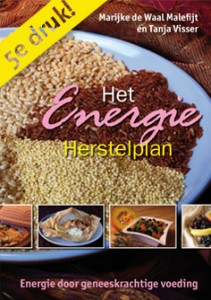 boek - energieherstelplan - EHP - Peer Voedingadvies - Judith Rolf