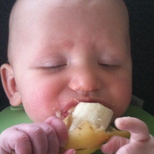 eerste-hapjes-rapley-eer-voedingadvies