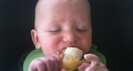 eerste-hapjes-rapley-eer-voedingadvies